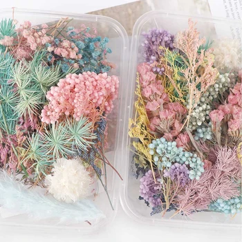De vânzare la cald 1 Cutie Flori Uscate, Plante Uscate Pentru Aromoterapie Lumânare Epoxidice Rășină Pandantiv Colier Bijuterii de Luare de Artizanat DIY Accesorii