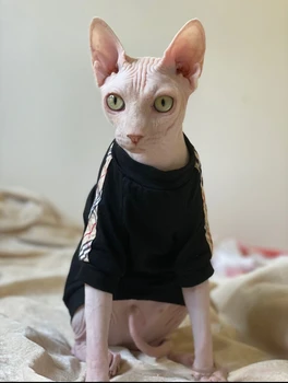 Animale de companie Haine de Pisică Sfinx fără Păr Devon Rex Cat de Frumos T-shirt din Bumbac Moale Haine pentru Pisici Pisoi Kitty Sacou Haina