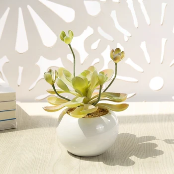 Artificial suculente plante bonsai fals plante cu alb vas ceramic de grăsime plante pentru casa si gradina/tineret birou decoratiuni 1 buc