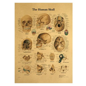 Structura Corpului uman Poster de Imprimare Creier, Mușchi Scheletici Mână Retro Spital Școala Decor de Birou Hârtie Kraft 42*30cm