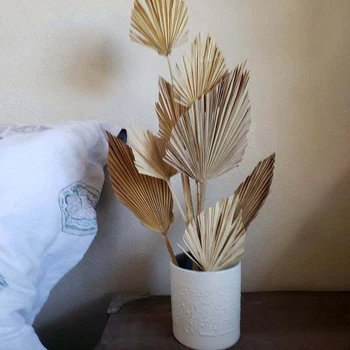 Palm Fan, Frunze Uscate De Flori Din Frunze De Palmier Fereastra Nunta Arc Aranjament Petrecere Arte