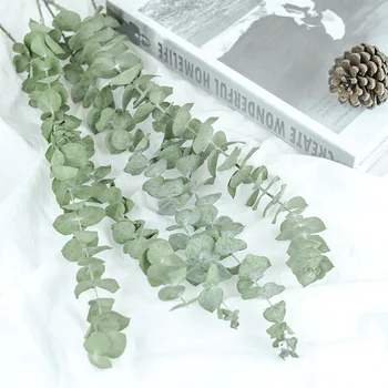 Natrliche Eukalyptus Bltter Zweige Vorbauten Getrocknete Blume Palnt Ornament DIY Mariaj Schieen Prop Acasă Dekoration Liefert