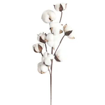 În mod natural Uscate de Bumbac Tulpini Fermă Flori Artificiale de Umplutură Florale Decor Fals Floare de Bumbac DIY Ghirlanda Acasă Decor Nunta