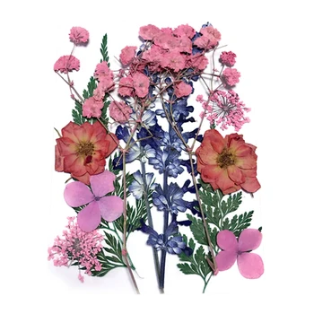 Presat de Flori Mixte de Flori Uscate de Material pentru DIY Aromoterapie Lumanari Felicitare Epoxidice Ambarcațiuni Cercei BOM666