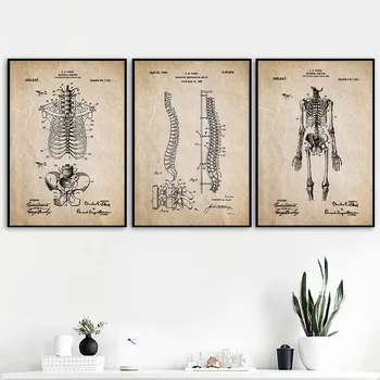 Anatomie Scheletul Piciorului Parte A Coloanei Vertebrale Craniu De Epocă Arta Panza Pictura Nordică Postere Si Printuri De Perete Imagini Medicii Decor De Birou