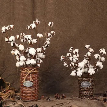 În Mod Natural Uscate De Bumbac Flori Albe Acasă Decorative Florale Artificiale Ramură Nunta De Domnisoare De Onoare Buchet Decor Fals Flori Albe