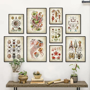 Insecte, Meduze, Caracatiță Coral Arta De Perete Panza Pictura Nordică Postere Si Printuri Vintage Imagini De Perete Pentru Living Decorul Camerei