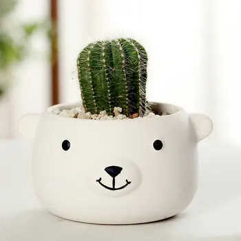 Coreea De Desene Animate Ursul Suculente Ceramice Ghiveci Creative Drăguț Pictate Manual Desktop Planta Verde Ghiveci De Flori Acasă Grădină Balcon