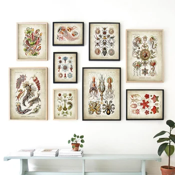 Insecte, Meduze, Caracatiță Coral Arta De Perete Panza Pictura Nordică Postere Si Printuri Vintage Imagini De Perete Pentru Living Decorul Camerei