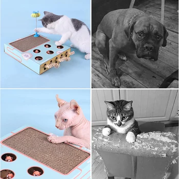 De Vânzare Fierbinte Cat Scratch Pad Jucărie Ondulat Amuzant Pisica Vâna Jucărie Cat Pumn De Joc Pentru Pisoi Pisică Jucărie Animal De Casă Produse