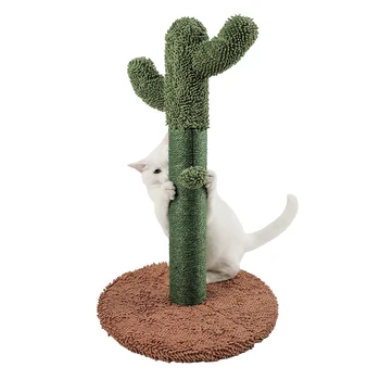 Cactus 25.6
