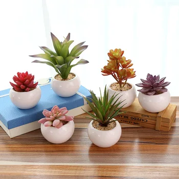 Artificial suculente plante bonsai fals plante cu alb vas ceramic de grăsime plante pentru casa si gradina/tineret birou decoratiuni 1 buc