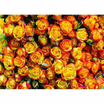 SHENGYONGBAO Ziua Îndrăgostiților Floare Trandafir Fotografie de Fundal Petrecerea de Nunta Copilului Fundal Fotografie de Studio 210314RAI-02