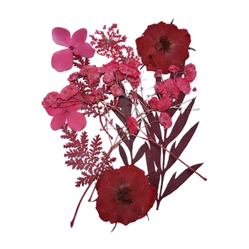 Presat de Flori Mixte de Flori Uscate de Material pentru DIY Aromoterapie Lumanari Felicitare Epoxidice Ambarcațiuni Cercei BOM666