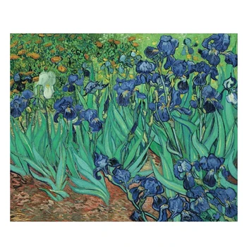 Complet Piața Diamant Broderie Van Gogh Irisi 5d Diamant Mozaic cruciulițe fotografie cu Pietre Decor Acasă Cadou de Crăciun