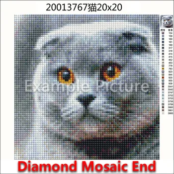 5D Full Piața Diamant pictura broderie cusatura Cruce Animale, Câine, maimuță fluture 3D DIY Rundă de Foraj Desen mozaic 331