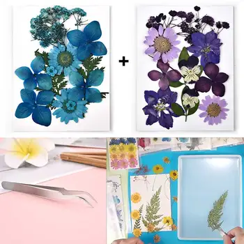 2 Cutii De 24 Buc De Flori Uscate Pensete Set de scule UV Rășină de Umplere Bijuterii Decorative de Flori Naturale Art Decoruri Rășină Epoxidică Mucegai