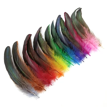 50Pcs/Lot 15-20cm Cocoș Pene pentru Meserii de Pui Decor Bijuterii Crearea de Vacanță Accesorii Colorate Pene de Fazan